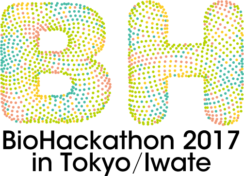 BH17 logo